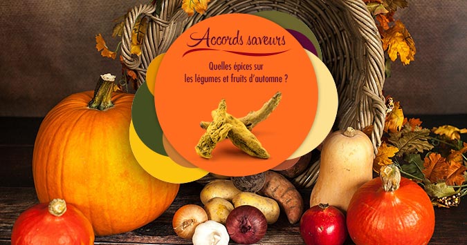 panier-amap-legumes-octobre-automne-mesepices-banniere